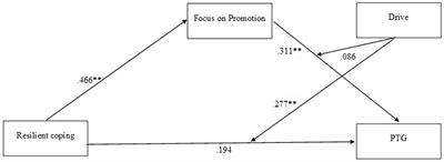 Motivational mediation between coping and post-traumatic growth in previously <mark class="highlighted">bullied</mark> college students